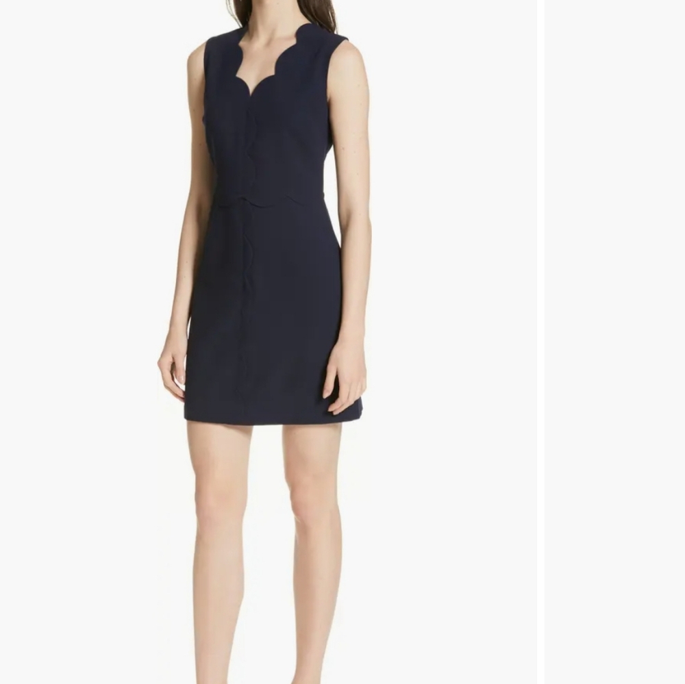 Ted Baker London Rubeyed Scallop Edge A-line Black Dress